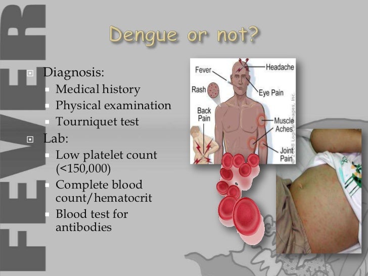 paracetamol low fever for SARWAR Dr.SOHAIL BY final presentation Dengue