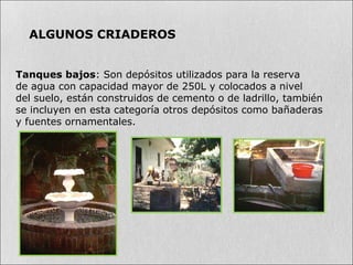 Tanques bajos: Son depósitos utilizados para la reserva
de agua con capacidad mayor de 250L y colocados a nivel
del suelo, están construidos de cemento o de ladrillo, también
se incluyen en esta categoría otros depósitos como bañaderas
y fuentes ornamentales.
ALGUNOS CRIADEROS
 