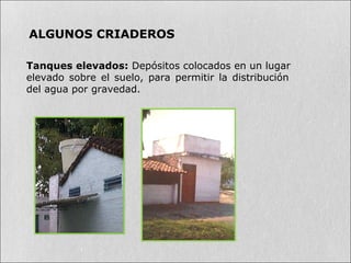 ALGUNOS CRIADEROS
Tanques elevados: Depósitos colocados en un lugar
elevado sobre el suelo, para permitir la distribución
del agua por gravedad.
 