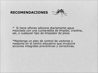 RECOMENDACIONES
* Si tiene sifones adicione diariamente agua
mezclada con una cucharadita de límpido, creolina,
sal, o cualquier tipo de limpiador de pisos.
*Mantenga un plan de control de vectores y
roedores en el centro educativo que involucre
acciones integrales preventivas y correctivas.
 