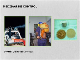 MEDIDAS DE CONTROL
Control Químico: Larvicidas.
 