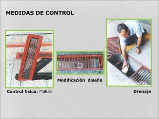 Control físico: Mallas
Modificación diseño
Drenaje
MEDIDAS DE CONTROL
 