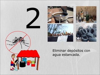 2
Eliminar depósitos con
agua estancada.
 