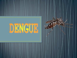 DEFINICIÓNEnfermedad viral, de carácter endémico-epidémico, transmitida por mosquitos del género Aedes aegypti; que se presenta desde cuadros asintomaticos hasta formas graves que llevan a shock y falla de órganos vitales.