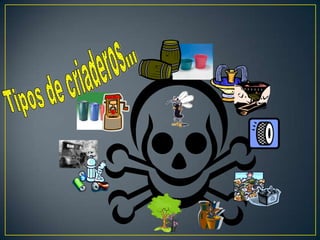 FACTORES DESENCADENTANTES:Ambiente favorable para el desarrollo del vector.