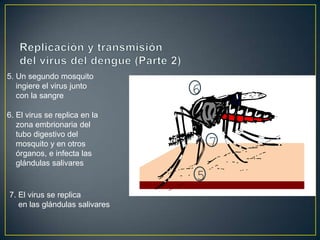  Recolección de basura deficiente.