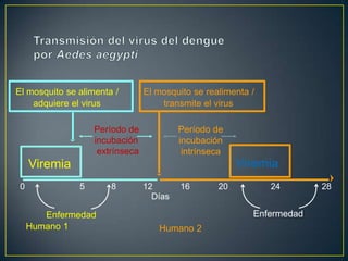  Clima y geografía.	>> Otros Factores Educación sanitaria deficiente. 