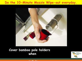 Do the 10-Minute Mozzie Wipe-out everyday.
Cover bamboo pole holders
when
 