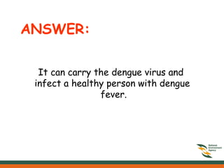 ANSWER:
It can carry the dengue virus and
infect a healthy person with dengue
fever.
 