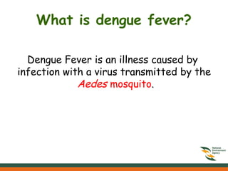 What is dengue fever?
Dengue Fever is an illness caused by
infection with a virus transmitted by the
Aedes mosquito.
 