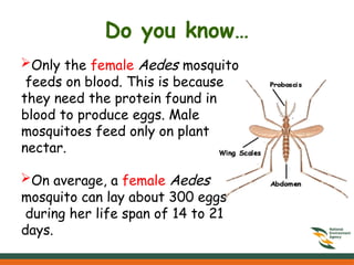 Only the female Aedes mosquito
feeds on blood. This is because
they need the protein found in
blood to produce eggs. Male
mosquitoes feed only on plant
nectar.
On average, a female Aedes
mosquito can lay about 300 eggs
during her life span of 14 to 21
days.
Do you know…
 