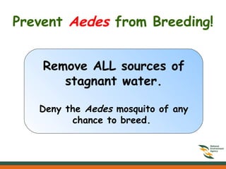 Prevent  Aedes  from Breeding! Remove ALL sources of stagnant water. Deny the  Aedes  mosquito of any chance to breed.  