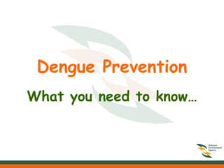 Dengue Prevention What you need to know… 