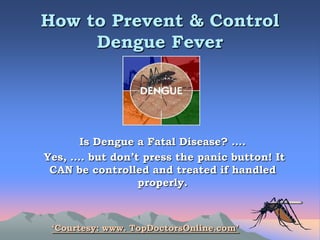  How to Prevent & Control Dengue Fever Is Dengue a Fatal Disease? ….  Yes, …. but don’t press the panic button! It CAN be controlled and treated if handled properly. ‘Courtesy: www. TopDoctorsOnline.com’ 
