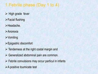 1.Febrile phase (Day 1 to 4)
 High grade fever
Facial flushing
Headache.
Anorexia
Vomiting
Epigastric discomfort
 Tenderness at the right costal margin and
 Generalized abdominal pain are common.
 Febrile convulsions may occur particul in infants
A positive tournicate test
 