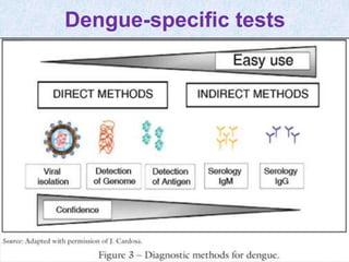 Dengue-specific tests
57
 