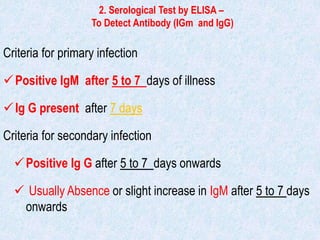2. Serological Test by ELISA –
To Detect Antibody (IGm and IgG)
Criteria for primary infection
Positive IgM after 5 to 7 days of illness
Ig G present after 7 days
Criteria for secondary infection
Positive Ig G after 5 to 7 days onwards
 Usually Absence or slight increase in IgM after 5 to 7 days
onwards
 