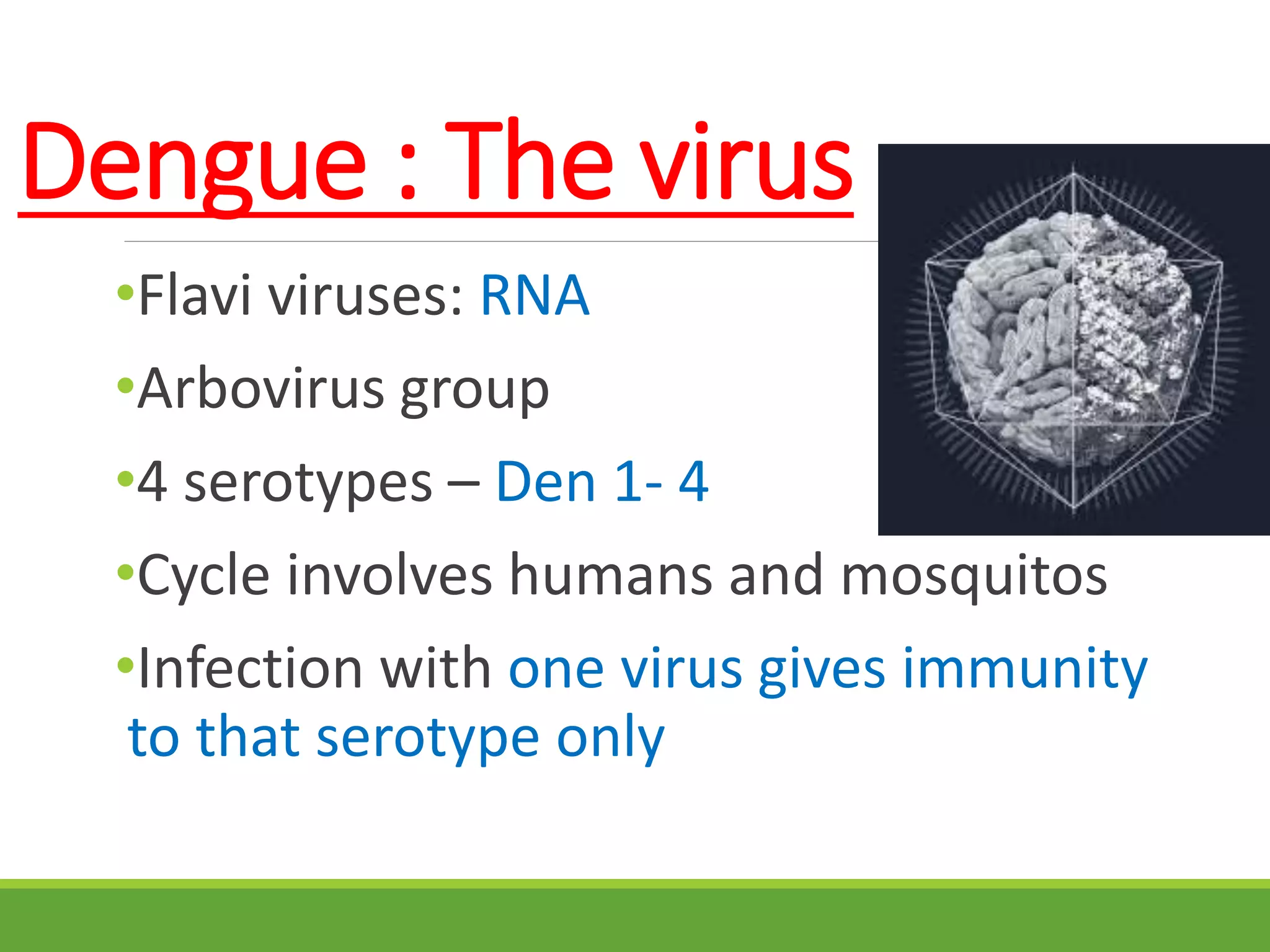 Dengue : The virus
•Flavi viruses: RNA
•Arbovirus group
•4 serotypes – Den 1- 4
•Cycle involves humans and mosquitos
•Infection with one virus gives immunity
to that serotype only
 