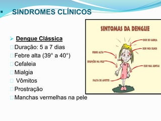  SINDROMES CLÍNICOS
 Dengue Clássica
Duração: 5 a 7 dias
Febre alta (39° a 40°)
Cefaleia
Mialgia
Vômitos
Prostração
Manchas vermelhas na pele
 