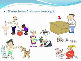  Eliminação dos Criadouros do mosquito
 