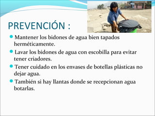 PREVENCIÓN :
Mantener los bidones de agua bien tapados
herméticamente.
Lavar los bidones de agua con escobilla para evitar
tener criadores.
Tener cuidado en los envases de botellas plásticas no
dejar agua.
También si hay llantas donde se recepcionan agua
botarlas.