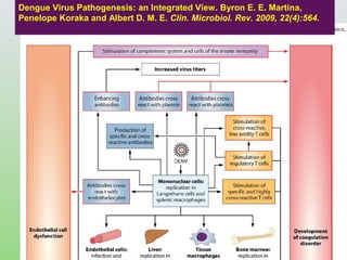 Dengue Virus Pathogenesis: an Integrated View. Byron E. E. Martina,
Penelope Koraka and Albert D. M. E. Clin. Microbiol. Rev. 2009, 22(4):564.
 