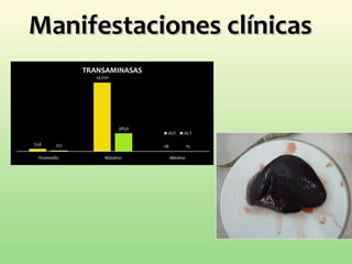 Manifestaciones clínicasManifestaciones clínicas
 