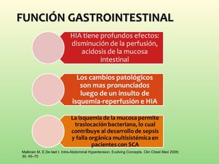 FUNCIÓN GASTROINTESTINALFUNCIÓN GASTROINTESTINAL
Malbrain M, E.De laet I. Intra-Abdominal Hypertension: Evolving Concepts. Clin Chest Med 2009;
30: 45–70
 