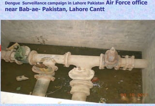 Dengue  Surveillance campaign in Lahore Pakistan  Air Force office near Bab-ae- Pakistan, Lahore Cantt 