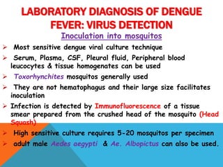 LABORATORY DIAGNOSIS OF DENGUE
FEVER: VIRUS DETECTION
Inoculation into mosquitos
 Most sensitive dengue viral culture technique
 Serum, Plasma, CSF, Pleural fluid, Peripheral blood
leucocytes & tissue homogenates can be used
 Toxorhynchites mosquitos generally used
 They are not hematophagus and their large size facilitates
inoculation
 Infection is detected by Immunofluorescence of a tissue
smear prepared from the crushed head of the mosquito (Head
Squash)
 High sensitive culture requires 5-20 mosquitos per specimen
 adult male Aedes aegypti & Ae. Albopictus can also be used.
 