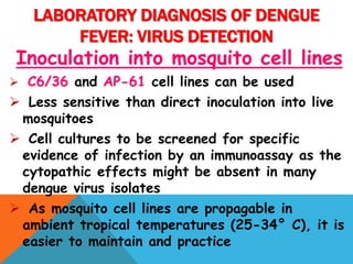 Inoculation into mosquito cell lines
 C6/36 and AP-61 cell lines can be used
 Less sensitive than direct inoculation into live
mosquitoes
 Cell cultures to be screened for specific
evidence of infection by an immunoassay as the
cytopathic effects might be absent in many
dengue virus isolates
 As mosquito cell lines are propagable in
ambient tropical temperatures (25-34° C), it is
easier to maintain and practice
LABORATORY DIAGNOSIS OF DENGUE
FEVER: VIRUS DETECTION
 