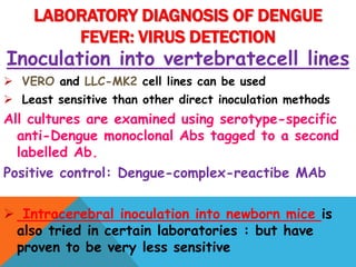 Inoculation into vertebratecell lines
 VERO and LLC-MK2 cell lines can be used
 Least sensitive than other direct inoculation methods
All cultures are examined using serotype-specific
anti-Dengue monoclonal Abs tagged to a second
labelled Ab.
Positive control: Dengue-complex-reactibe MAb
 Intracerebral inoculation into newborn mice is
also tried in certain laboratories : but have
proven to be very less sensitive
LABORATORY DIAGNOSIS OF DENGUE
FEVER: VIRUS DETECTION
 