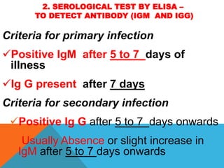 2. SEROLOGICAL TEST BY ELISA –
TO DETECT ANTIBODY (IGM AND IGG)
Criteria for primary infection
Positive IgM after 5 to 7 days of
illness
Ig G present after 7 days
Criteria for secondary infection
Positive Ig G after 5 to 7 days onwards
 Usually Absence or slight increase in
IgM after 5 to 7 days onwards
 