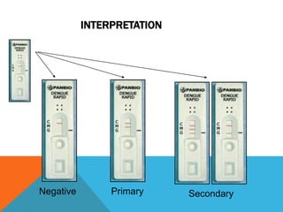 INTERPRETATION
SecondaryPrimaryNegative
 