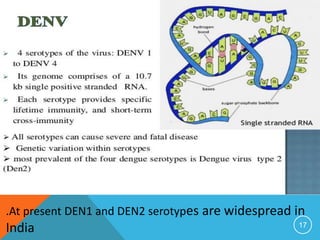 17
.At present DEN1 and DEN2 serotypes are widespread in
India
 