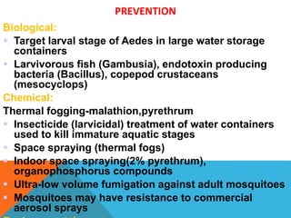 PREVENTION
Biological:
 Target larval stage of Aedes in large water storage
containers
 Larvivorous fish (Gambusia), endotoxin producing
bacteria (Bacillus), copepod crustaceans
(mesocyclops)
Chemical:
Thermal fogging-malathion,pyrethrum
 Insecticide (larvicidal) treatment of water containers
used to kill immature aquatic stages
 Space spraying (thermal fogs)
 Indoor space spraying(2% pyrethrum),
organophosphorus compounds
 Ultra-low volume fumigation against adult mosquitoes
 Mosquitoes may have resistance to commercial
aerosol sprays
 