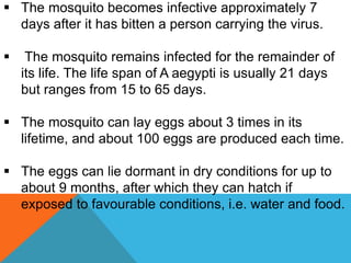  The mosquito becomes infective approximately 7
days after it has bitten a person carrying the virus.
 The mosquito remains infected for the remainder of
its life. The life span of A aegypti is usually 21 days
but ranges from 15 to 65 days.
 The mosquito can lay eggs about 3 times in its
lifetime, and about 100 eggs are produced each time.
 The eggs can lie dormant in dry conditions for up to
about 9 months, after which they can hatch if
exposed to favourable conditions, i.e. water and food.
 