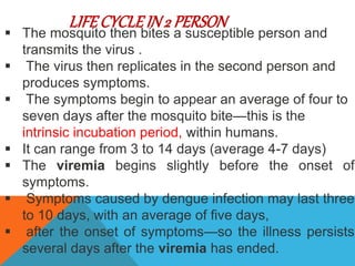  The mosquito then bites a susceptible person and
transmits the virus .
 The virus then replicates in the second person and
produces symptoms.
 The symptoms begin to appear an average of four to
seven days after the mosquito bite—this is the
intrinsic incubation period, within humans.
 It can range from 3 to 14 days (average 4-7 days)
 The viremia begins slightly before the onset of
symptoms.
 Symptoms caused by dengue infection may last three
to 10 days, with an average of five days,
 after the onset of symptoms—so the illness persists
several days after the viremia has ended.
LIFECYCLEIN 2 PERSON
 
