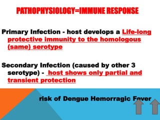 PATHOPHYSIOLOGY=IMMUNE RESPONSE
Primary Infection - host develops a Life-long
protective immunity to the homologous
(same) serotype
Secondary Infection (caused by other 3
serotype) - host shows only partial and
transient protection
risk of Dengue Hemorragic Fever
 