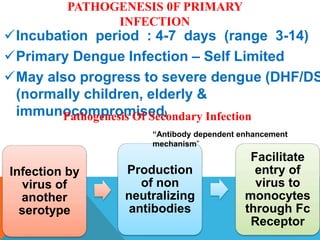 PATHOGENESIS 0F PRIMARY
INFECTION
Incubation period : 4-7 days (range 3-14)
Primary Dengue Infection – Self Limited
May also progress to severe dengue (DHF/DS
(normally children, elderly &
immunocompromised)
Pathogenesis Of Secondary Infection
Infection by
virus of
another
serotype
Production
of non
neutralizing
antibodies
Facilitate
entry of
virus to
monocytes
through Fc
Receptor
“Antibody dependent enhancement
mechanism”
 