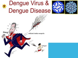 Infected Aedes mosquito
Deng
ue
Dengue
 