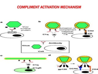 COMPLIMENT ACTIVATION MECHANISM
63
 