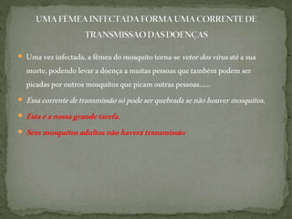  Uma vezinfectada,afêmea domosquito torna-se vetordosvírusatéasua
morte,podendo levaradoença amuitaspessoasquetambém podem ser
picadaspor outros mosquitos quepicam outras pessoas......
 Essacorrentedetransmissãosópodeserquebradasenãohouvermosquitos.
 Estaéanossagrandetarefa.
 Semmosquitosadultosnãohaverátransmissão
 