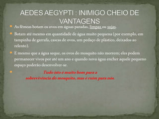  Asfêmeasbotam osovos emáguasparadas, limpasou sujas.
 Botam atémesmo emquantidadedeágua muitopequena(por exemplo,em
tampinhadegarrafa,cascas deovos,um pedaço deplástico,deixadosao
relento).
 Emesmo queaágua seque,osovosdomosquito nãomorrem; elespodem
permanecervivosporatéum anoequandonovaáguaencheraquelepequeno
espaço poderãodesenvolver-se.
 Tudoistoémuitobomparaa
sobrevivênciadomosquito,maséruimparanós.
 