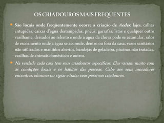  São locais onde freqüentemente ocorre a criação de Aedes: lajes, calhas
entupidas, caixas d'água destampadas, pneus, garrafas, latas e qualquer outro
vasilhame, deixados ao relento e onde a água da chuva pode se acumular, ralos
de escoamento onde a água se acumule, dentro ou fora da casa, vasos sanitários
não utilizados e mantidos abertos, bandejas de geladeira, piscinas não tratadas,
vasilhas deanimaisdomésticos eoutros.
 Na verdade cada casa tem seus criadouros específicos. Eles variam muito com
as condições locais e os hábitos das pessoas. Cabe aos seus moradores
encontrar,eliminarouvigiaretratarseuspossíveiscriadouros.
 