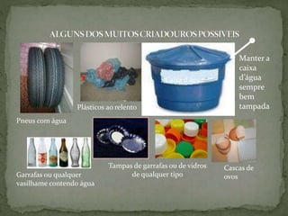 Pneus com água
Plásticos ao relento
Garrafas ou qualquer
vasilhame contendo água
Tampas de garrafas ou de vidros
de qualquer tipo
Cascas de
ovos
Caixa d água
Manter a
caixa
d’água
sempre
bem
tampada
 