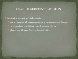  Nosjardins,osprincipaiscriadouros são:
 pratoscolocados sobosvasos parasegurar oexcessodeáguada rega,
 água paradanasuperfície devasosdeixadosaorelento,
 plantascomfolhas ou floresem forma decálice.
 