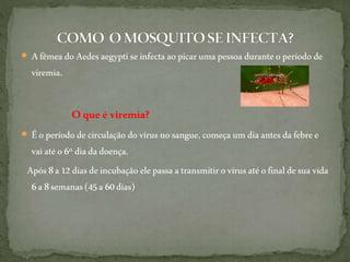  Afêmea do Aedesaegyptiseinfecta aopicar uma pessoa duranteoperíodo de
viremia.
Oqueé viremia?
 Éo períododecirculação dovírusnosangue,começa um diaantesdafebre e
vaiatéo6º diadadoença.
Após 8a 12diasdeincubação elepassaa transmitirovírusatéofinaldesua vida
6a8semanas(45a60 dias)
 