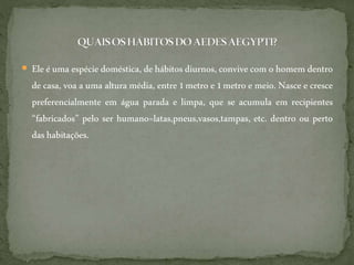  Ele é uma espécie doméstica, de hábitos diurnos, convive com o homem dentro
de casa, voa a uma altura média, entre 1 metro e 1 metro e meio. Nasce e cresce
preferencialmente em água parada e limpa, que se acumula em recipientes
“fabricados” pelo ser humano=latas,pneus,vasos,tampas, etc. dentro ou perto
dashabitações.
 