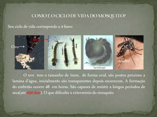 Seuciclo de vidacorresponde a4 fases:
larva→
Ovo→ pupa→
adulto
O ovo tem o tamanho de 1mm, de forma oval, são postos próximo a
lamina d’água, inicialmente são transparentes depois escurecem. A formação
do embrião ocorre 48 em horas. São capazes de resistir a longos períodos de
seca(até 450 dias). Oque dificulta o extermíniodo mosquito
 